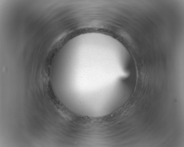 X0000054331064200508111913.png