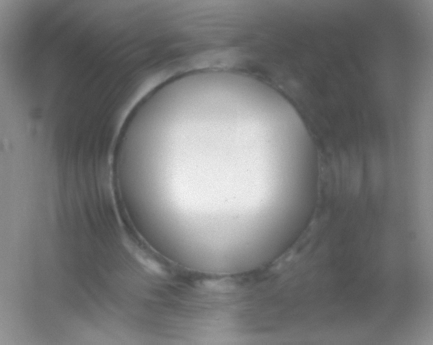 X0000054330100200508111929.png