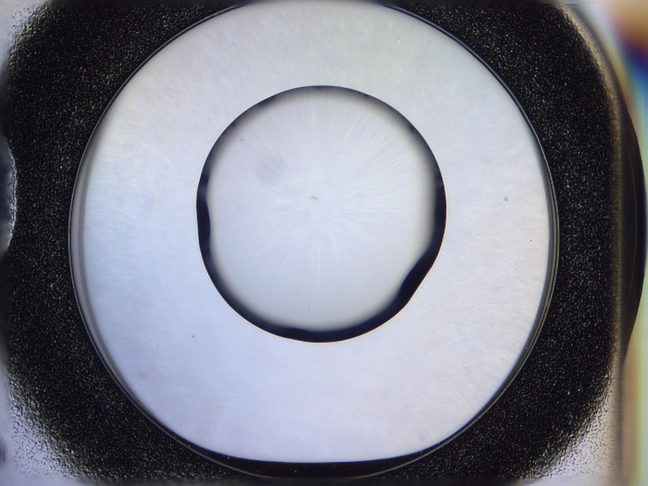 056b_D5_ImagerDefaults_0.jpg