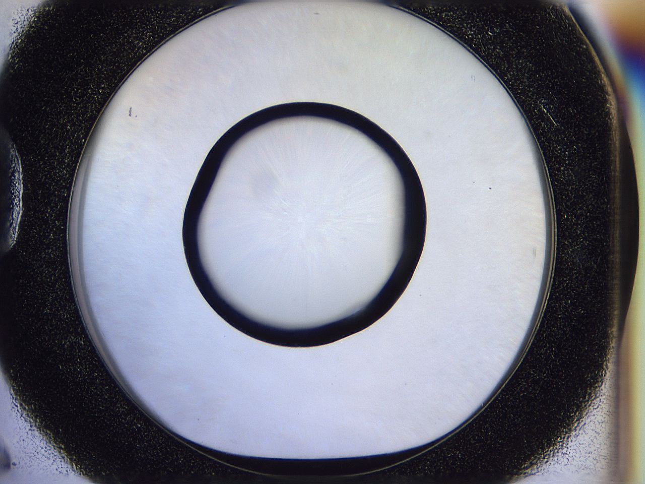 056b_D6_ImagerDefaults_0.jpg