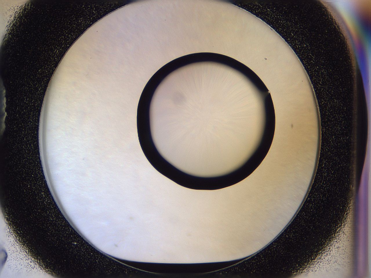056b_D7_ImagerDefaults_0.jpg