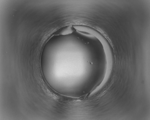X0000055210481200508301326.png