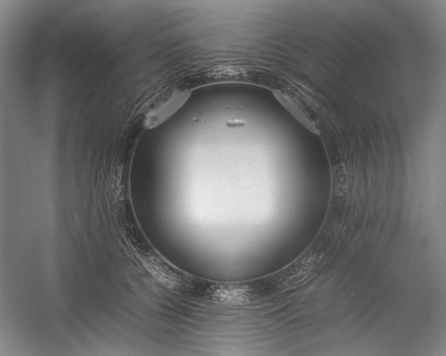 X0000055060560200508161648.png