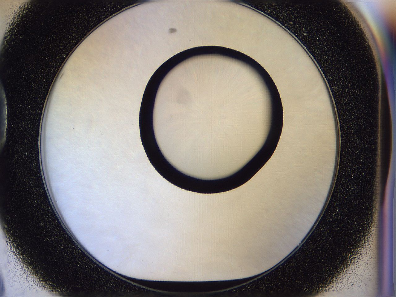 056b_D8_ImagerDefaults_0.jpg