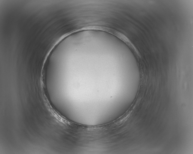 X0000055210908200508301318.png