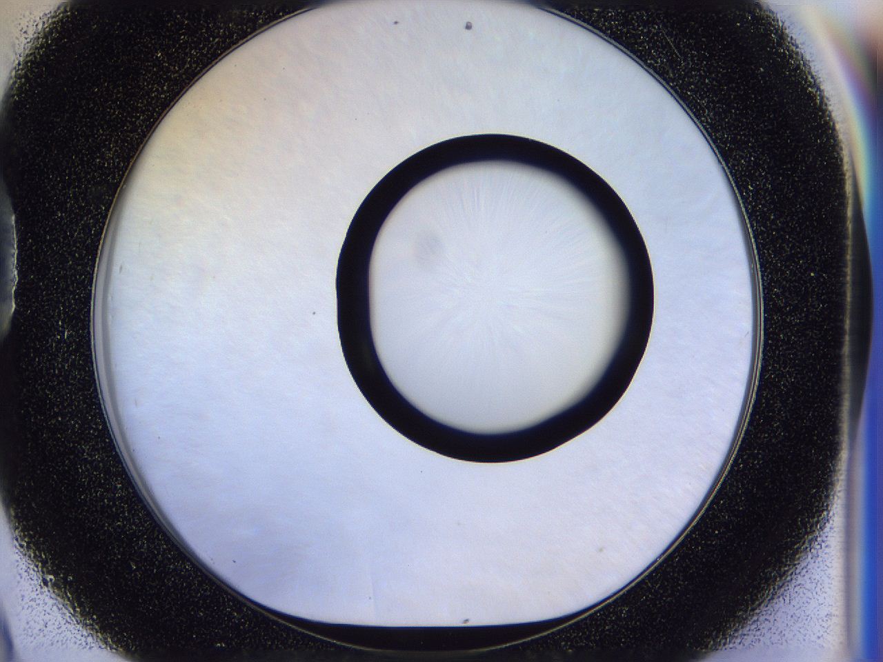 056b_D9_ImagerDefaults_0.jpg