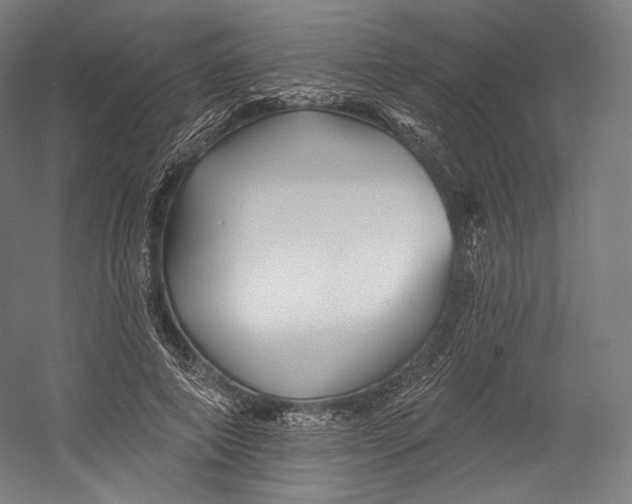 X0000055210690200508301322.png