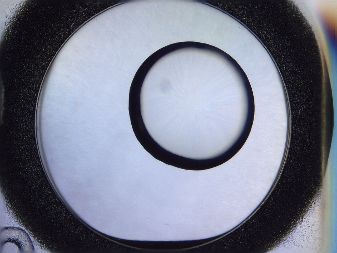 056b_D10_ImagerDefaults_0.jpg