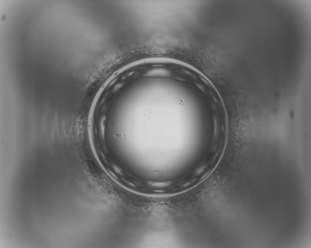 X0000052120743200507262051.png