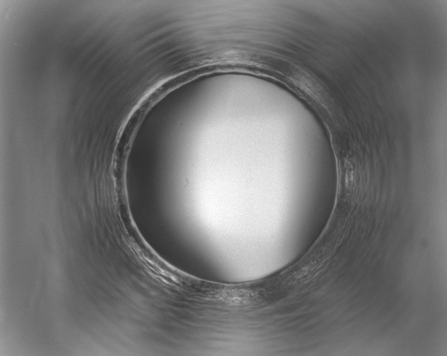 X0000055061068200508161640.png
