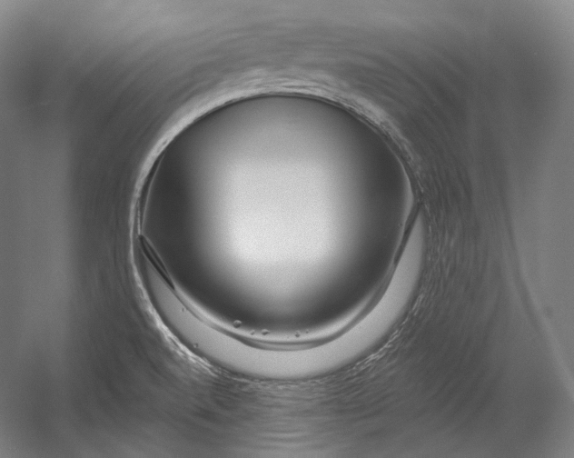 X0000055211520200508301308.png