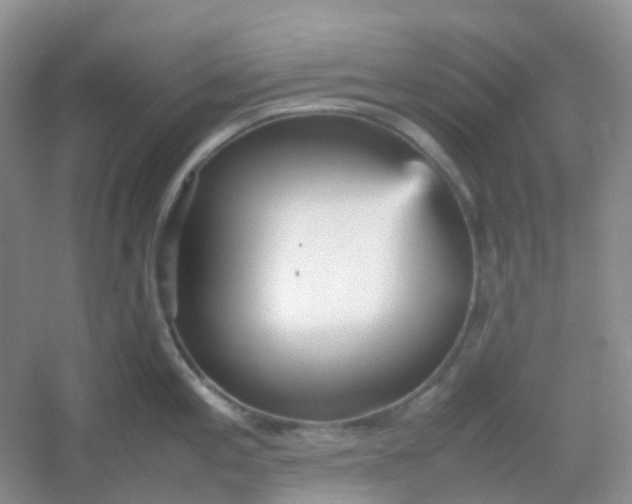 X0000054331197200508111911.png