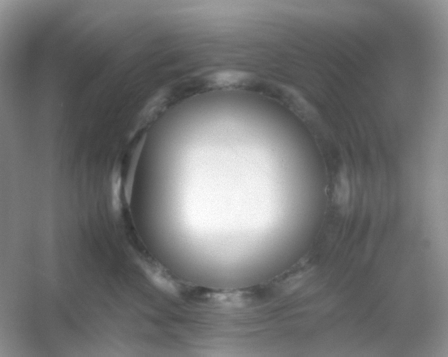 X0000054330524200508111922.png