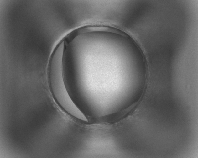 X0000054971344200509051454.png