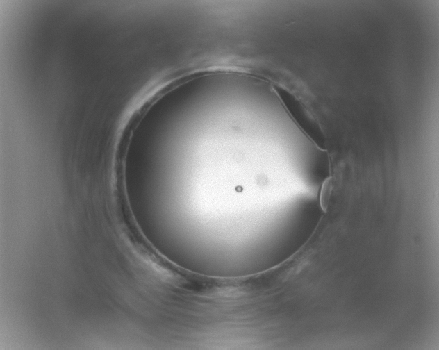 X0000054330344200508111925.png