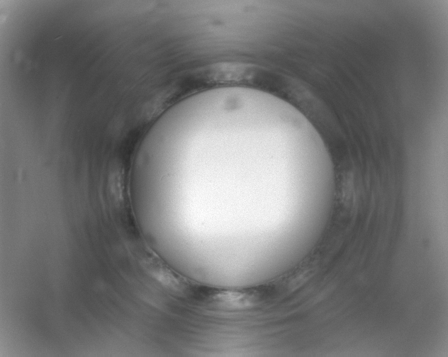 X0000054330326200508111926.png