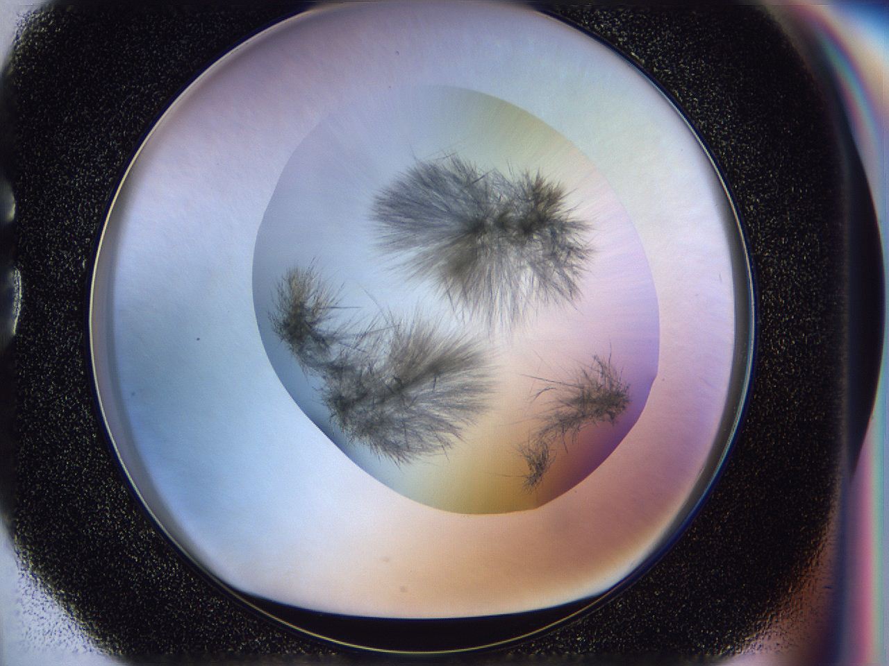 056b_G4_ImagerDefaults_7.jpg