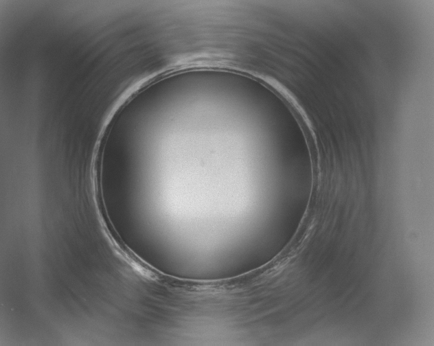 X0000055211341200508301312.png