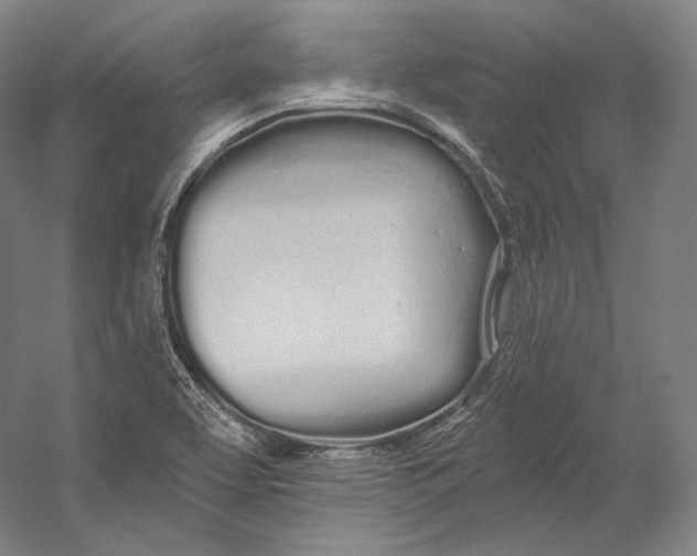X0000055211463200508301309.png
