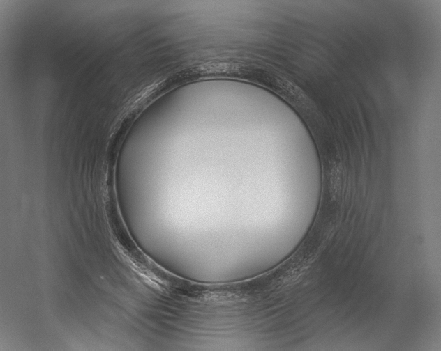 X0000055210490200508301325.png