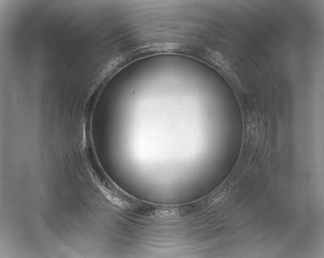X0000055060110200508161656.png