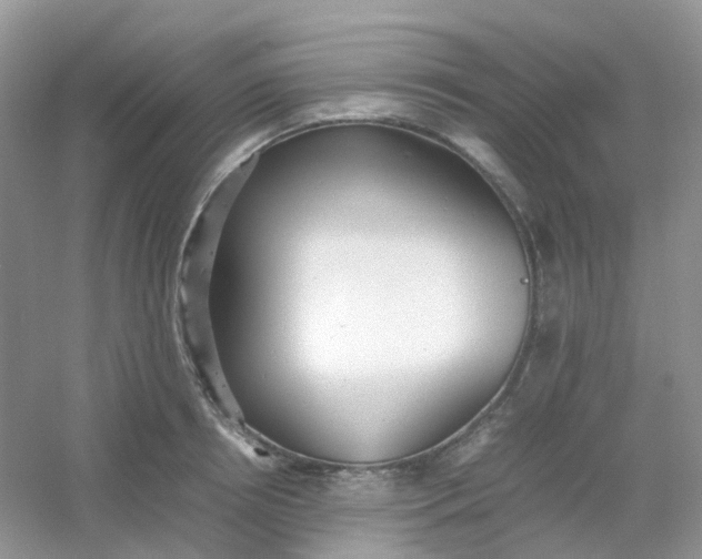 X0000054330850200508111917.png