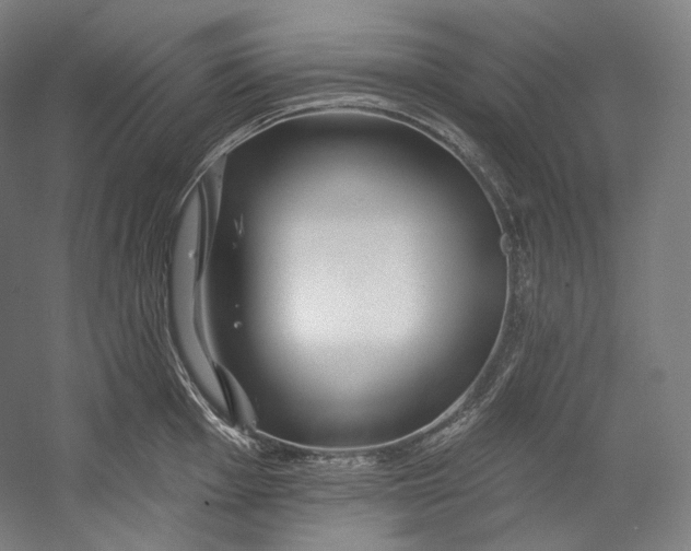 X0000055211001200508301317.png