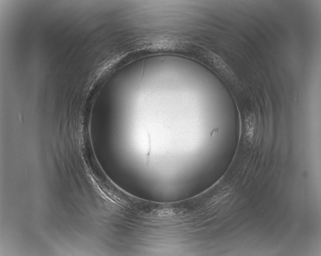 X0000055060588200508161648.png