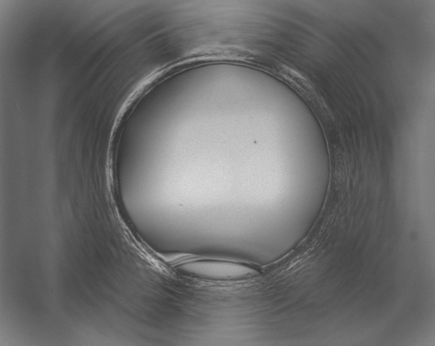 X0000055251188200509071607.png