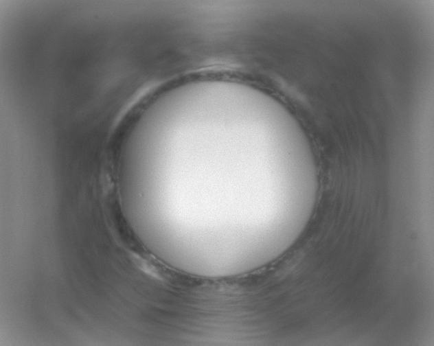 X0000054331400200508111907.png