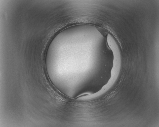 X0000055250673200509071616.png