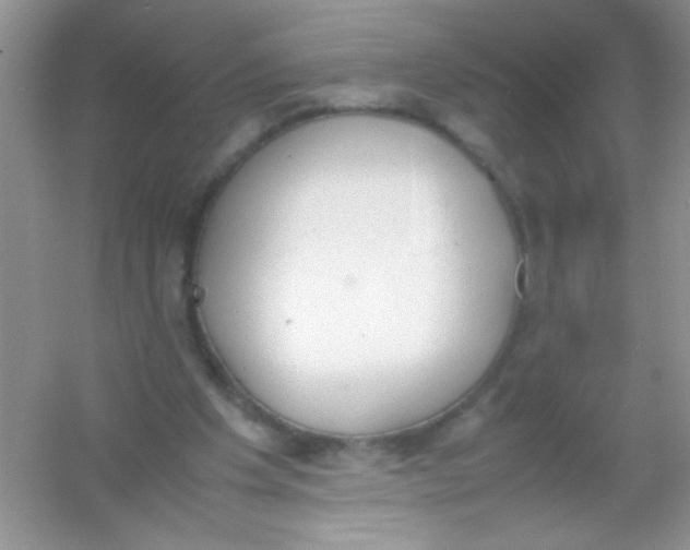 X0000054330201200508111928.png