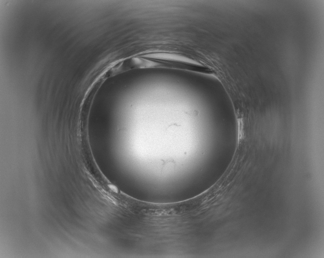 X0000055060243200508161653.png
