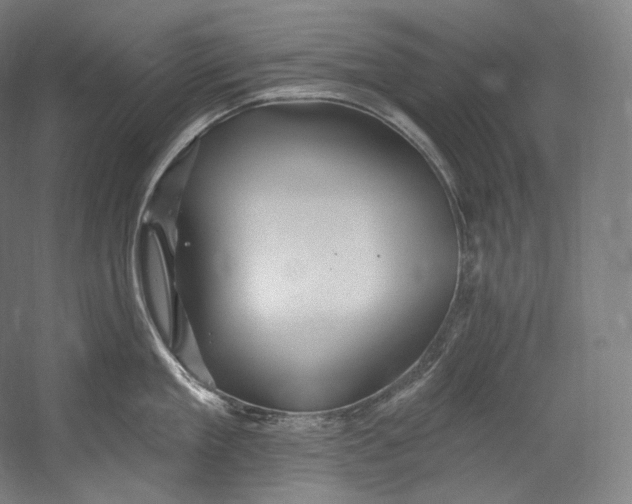 X0000055210909200508301318.png