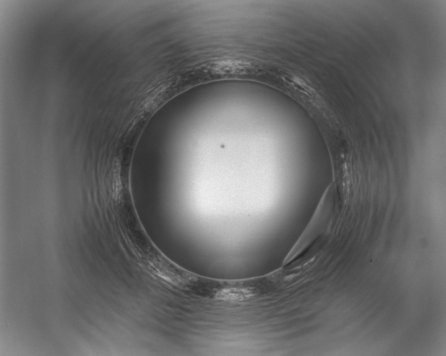 X0000055060508200508161649.png