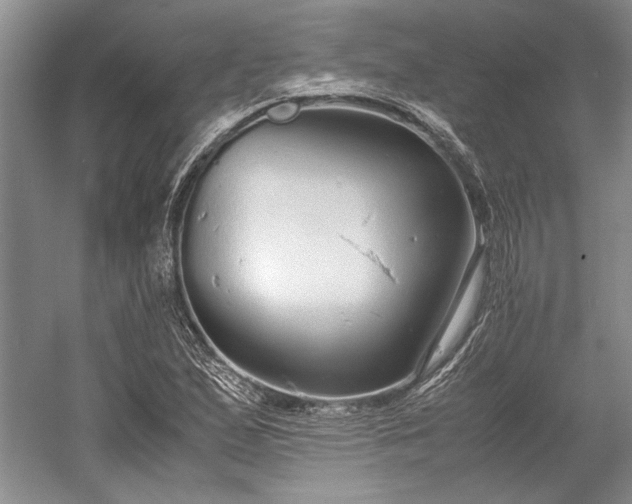 X0000055061167200508161638.png