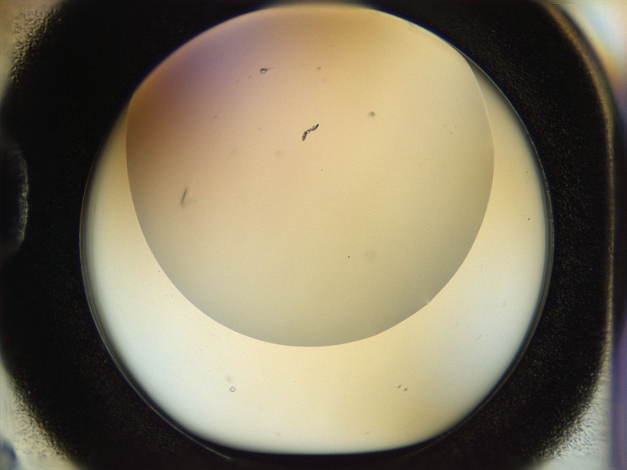 056c_D2_ImagerDefaults_1.jpg