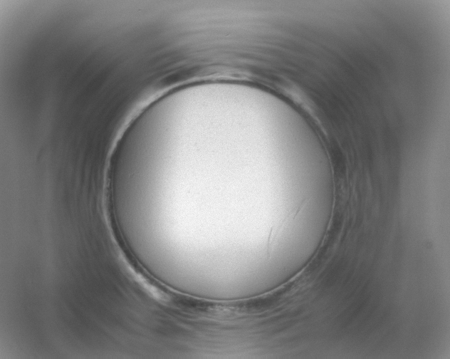 X0000054331379200508111908.png