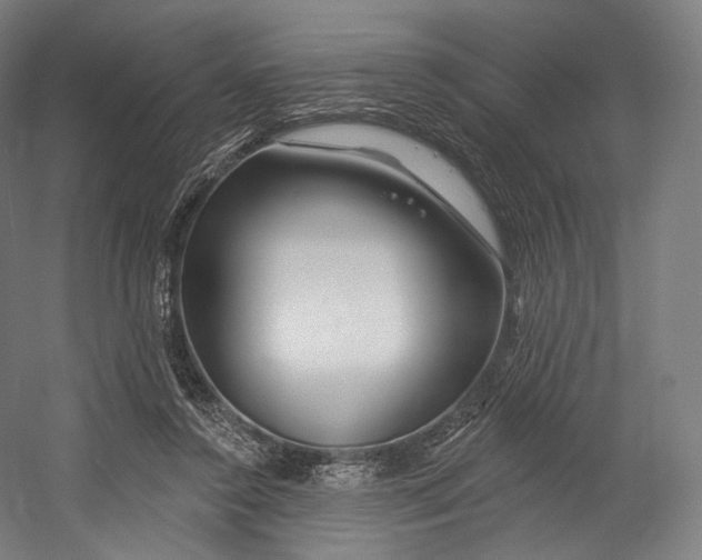X0000055210356200508301328.png