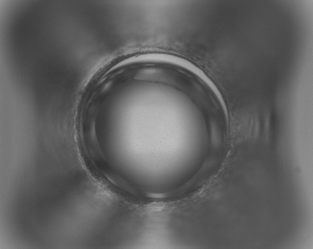 X0000052150054200507052002.png