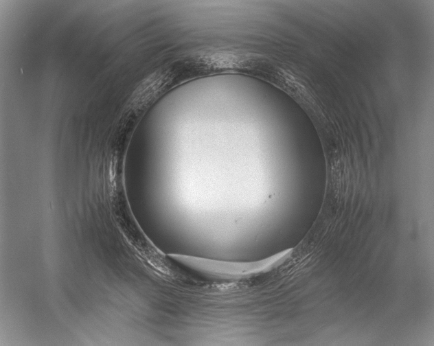 X0000055060406200508161651.png
