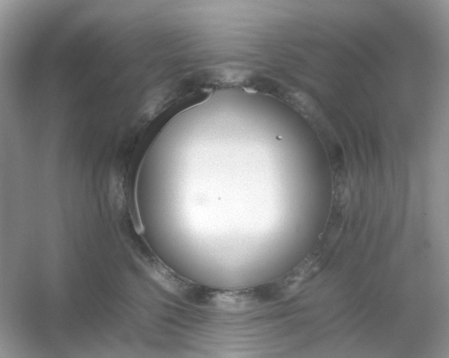 X0000054330568200508111922.png