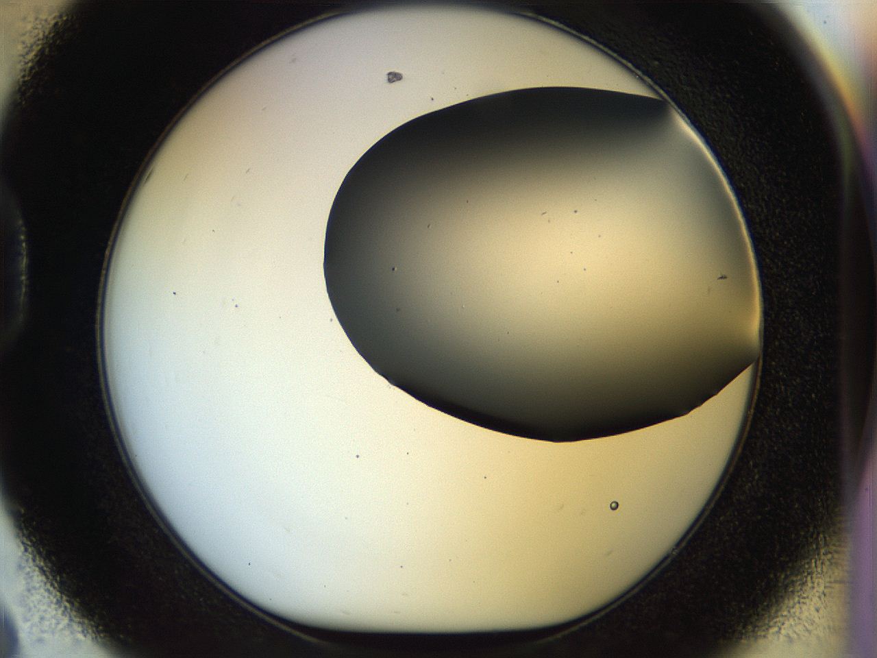 056c_D8_ImagerDefaults_0.jpg