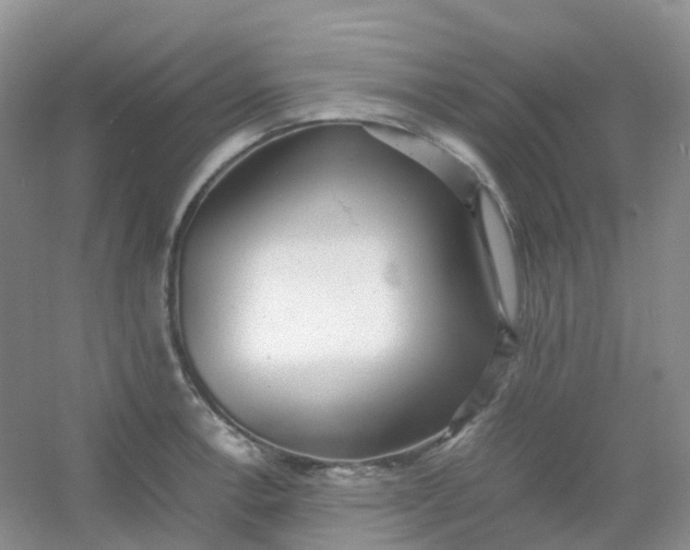 X0000054331138200508111912.png
