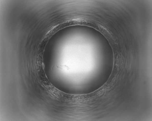 X0000055060776200508161644.png