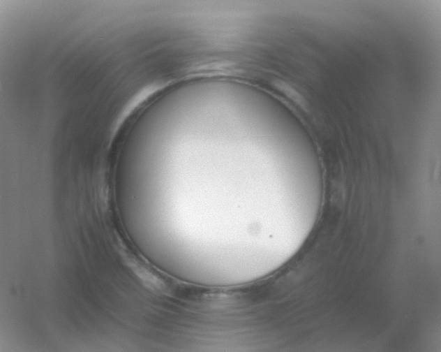 X0000054331458200508111906.png