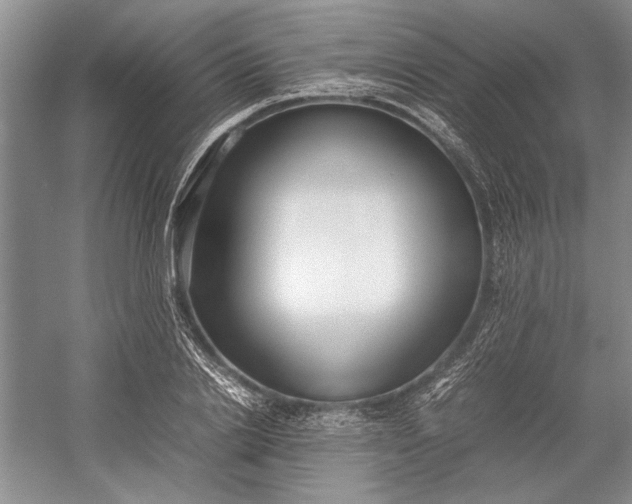 X0000055060838200508161643.png