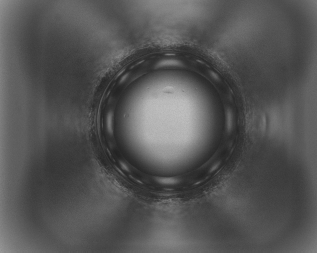 X0000040560447200411021433.png