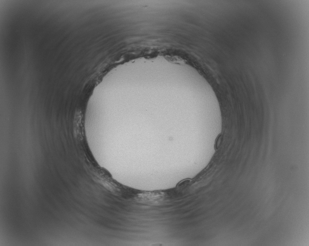 X0000055250480200509071620.png