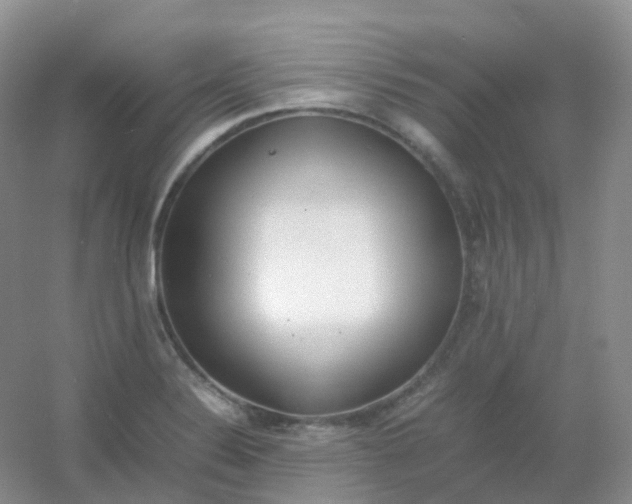 X0000054331324200508111909.png
